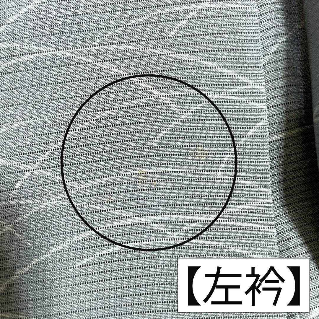 夏物 正絹 小紋 Aランク 身丈157cm 裄丈62cm 浅葱鼠色（あさぎねずいろ） 露芝 絽 緑系 1132004713319