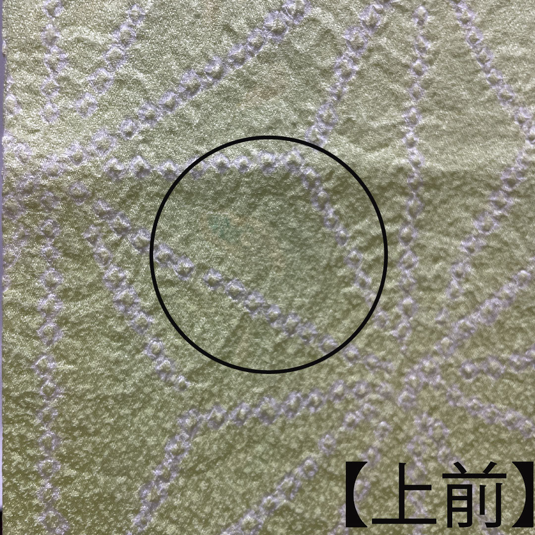 訪問着 正絹 袷 身丈162.5cm 裄丈62cm 若芽色 刺繡 絞り 麻の葉 Aランク 緑系 1112003433419