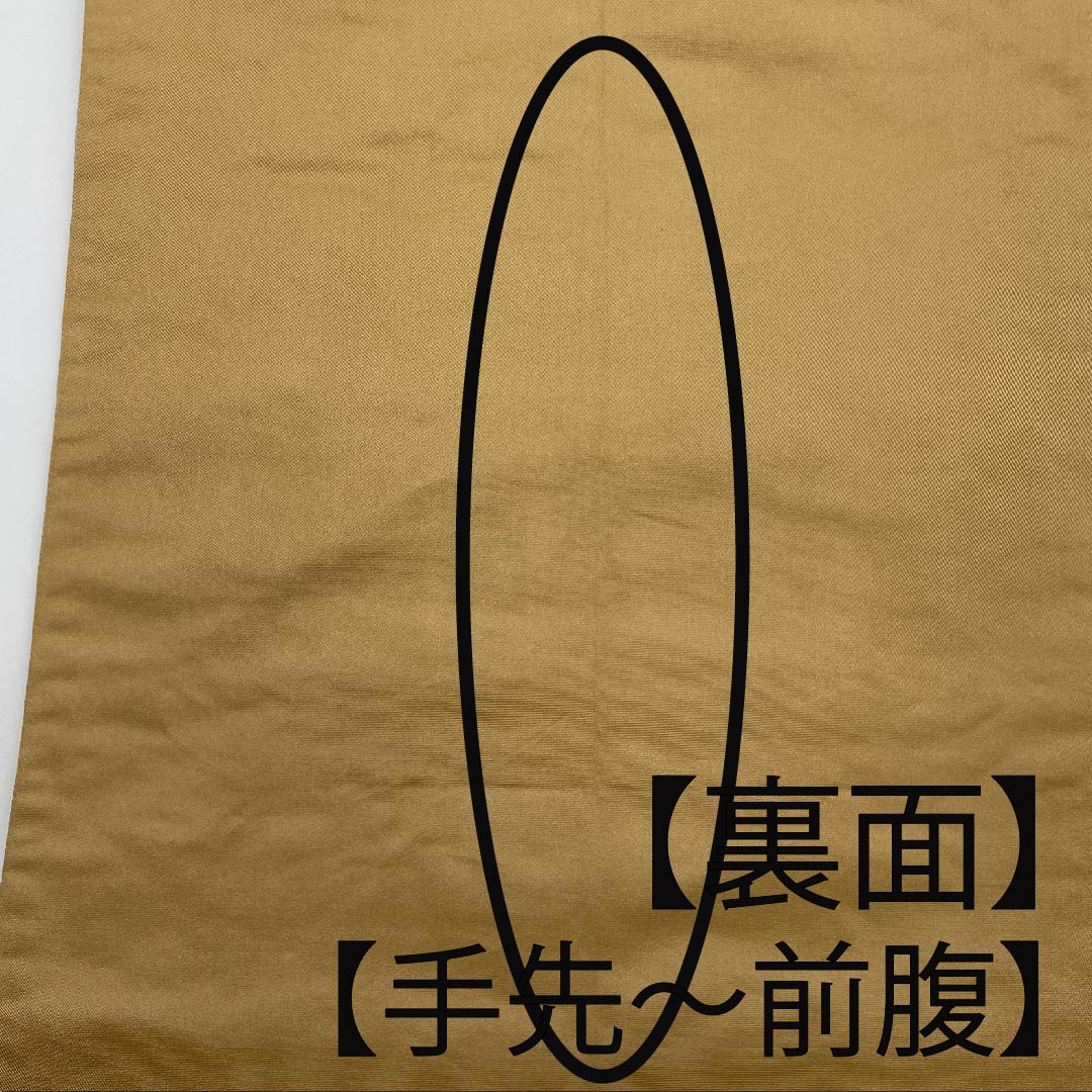 Fukuro Obi (Sash) - Pure Silk - Yamabuki Nezuiro (Yamabuki Gray) - For Furisode - Floral Pattern - Shirayaen Oba - Obi Length: 436cm - S Rank - Six Passes - Formal - Beige - 1123010792325