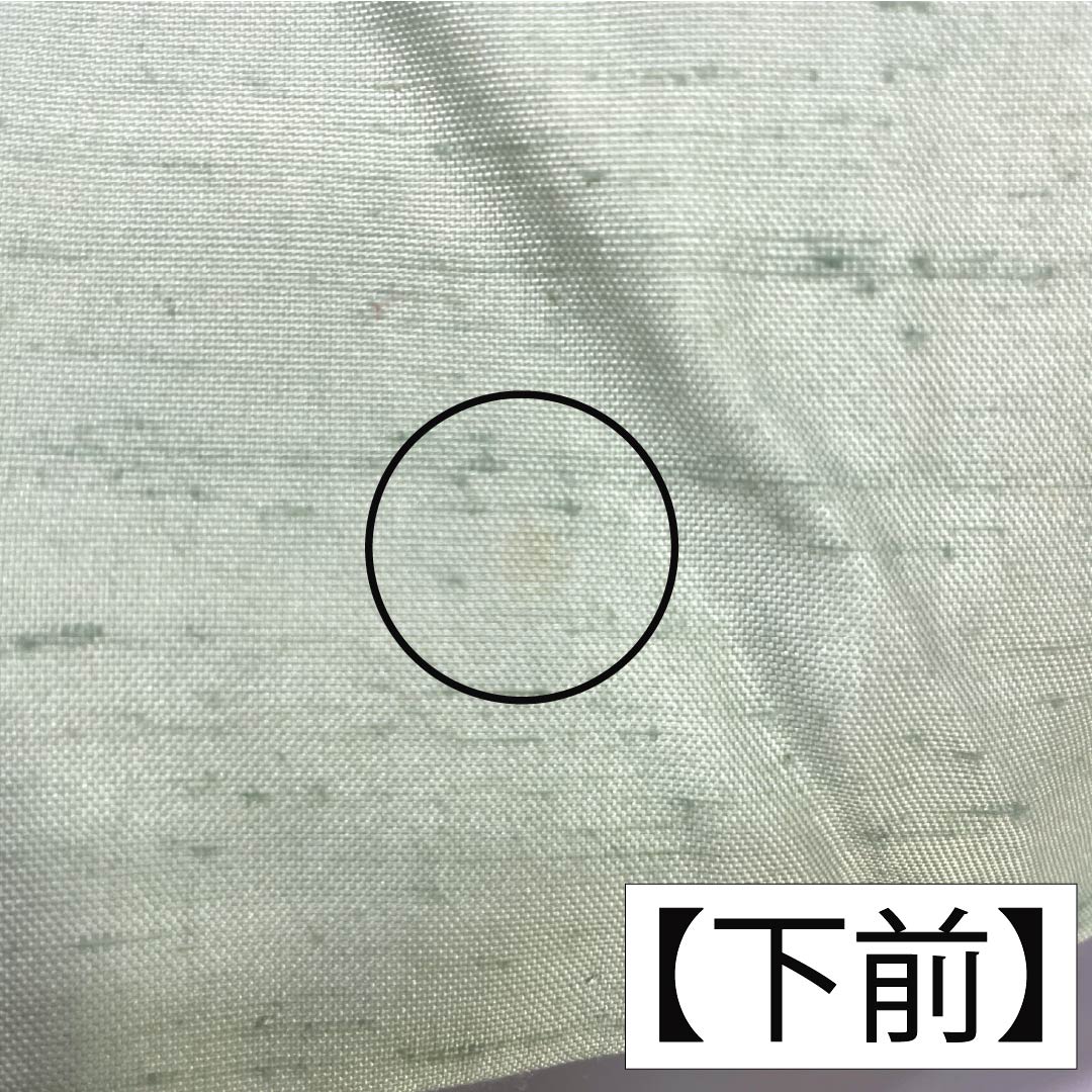 訪問着 正絹 Aランク 袷 身丈155cm 裄丈61cm 薄緑色（うすみどりいろ） 牛首紬 一つ紋 中陰蔦 草花 緑系 1112007533319