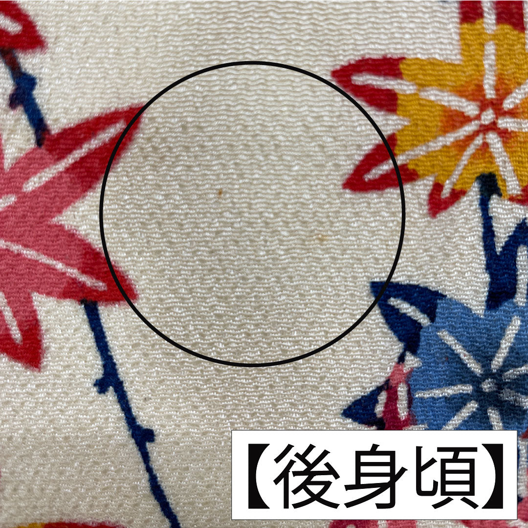 訪問着 正絹 袷 身丈158.5cm 裄丈65cm 密陀僧色（みつだそういろ） 京紅型 紅葉 鳥 Aランク クリーム系 1112005943315