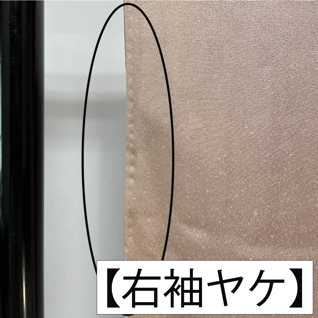 訪問着 正絹 袷 身丈160.5cm 裄丈63cm 白梅色（しらうめいろ） 京友禅 茶屋辻模様 Bランク ピンク系 1112005894413
