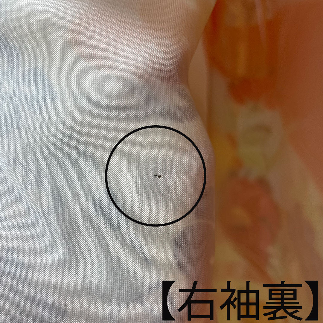 振袖 正絹 身丈151cm 裄丈62cm 袷  黄丹色 京紅型 吉祥文様  Aランク 橙系 1113001913226