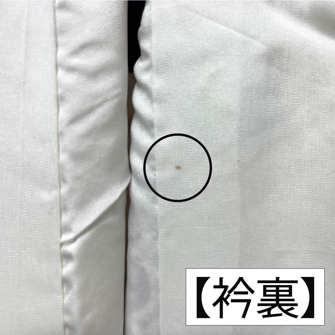 Furisode Pure Silk A Rank Length 161.5cm Sleeve-to-sleeve 65.5cm Lined Milky White Kyo Yuzen Auspicious Patterns With basting stitches White 1113002913411