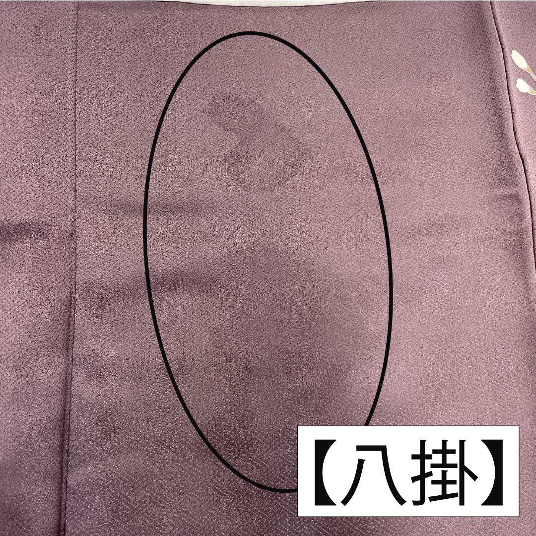 Formal kimono, pure silk, rank B, lined, length 164cm, sleeve to sleeve 64.5cm, reddish gray, Kyo-Yuzen, one crest, plants, purple tones, 1112007044420