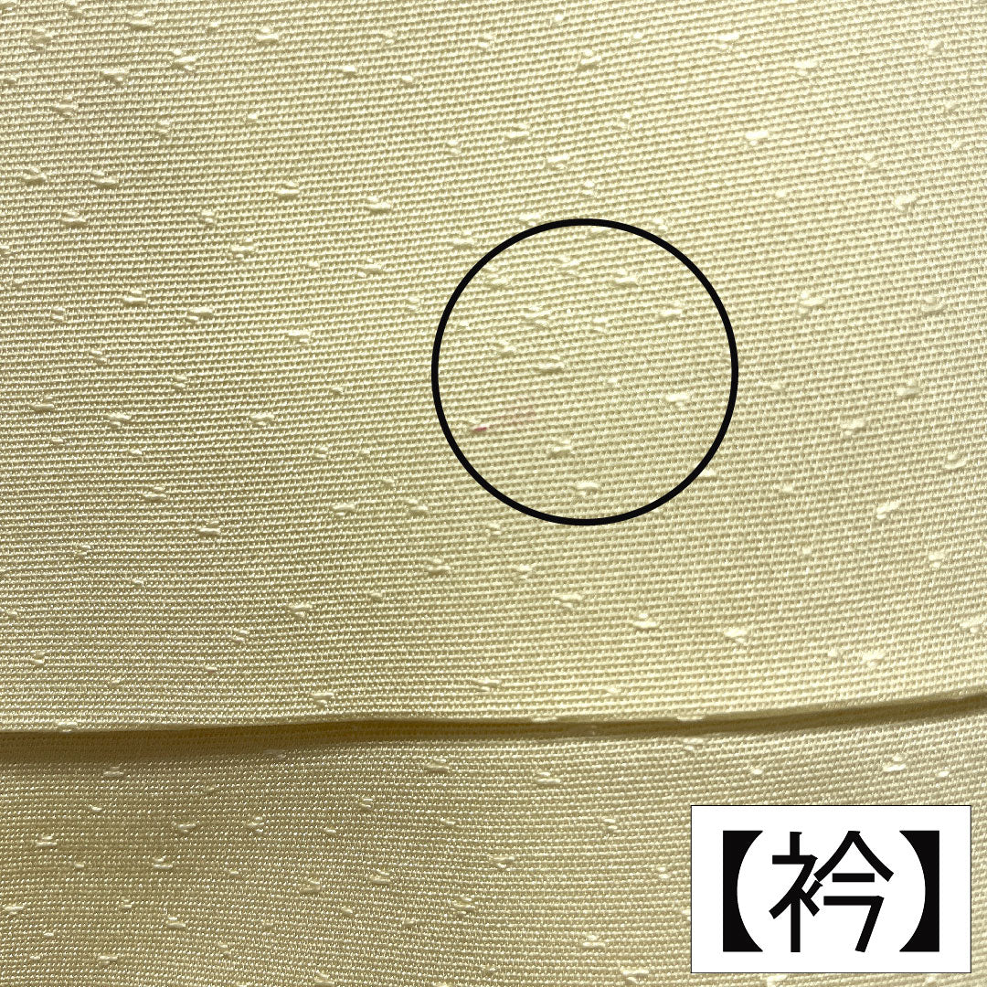 訪問着 正絹 袷 身丈156.5cm 裄丈63cm 淡黄色（たんこうしょく） 京友禅 草花模様 Aランク 黄系 1112005393323