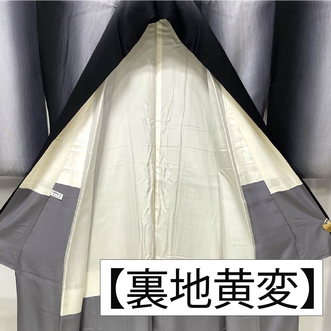 Komon (small pattern) pure silk, A-rank, length 149cm, sleeve length 64cm, lined, vertical shading, silk guard, monotone, product number 1115007233127
