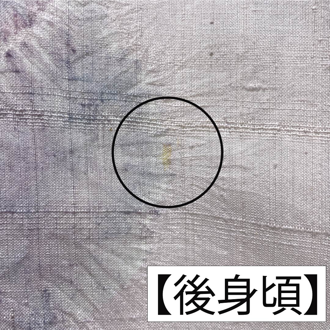 訪問着 正絹 Bランク 単衣 身丈165.5cm 裄丈64.5cm 白藤色（しらふじいろ） 紬地 絞り 作家物 辻ヶ花 紫系 1112007554520