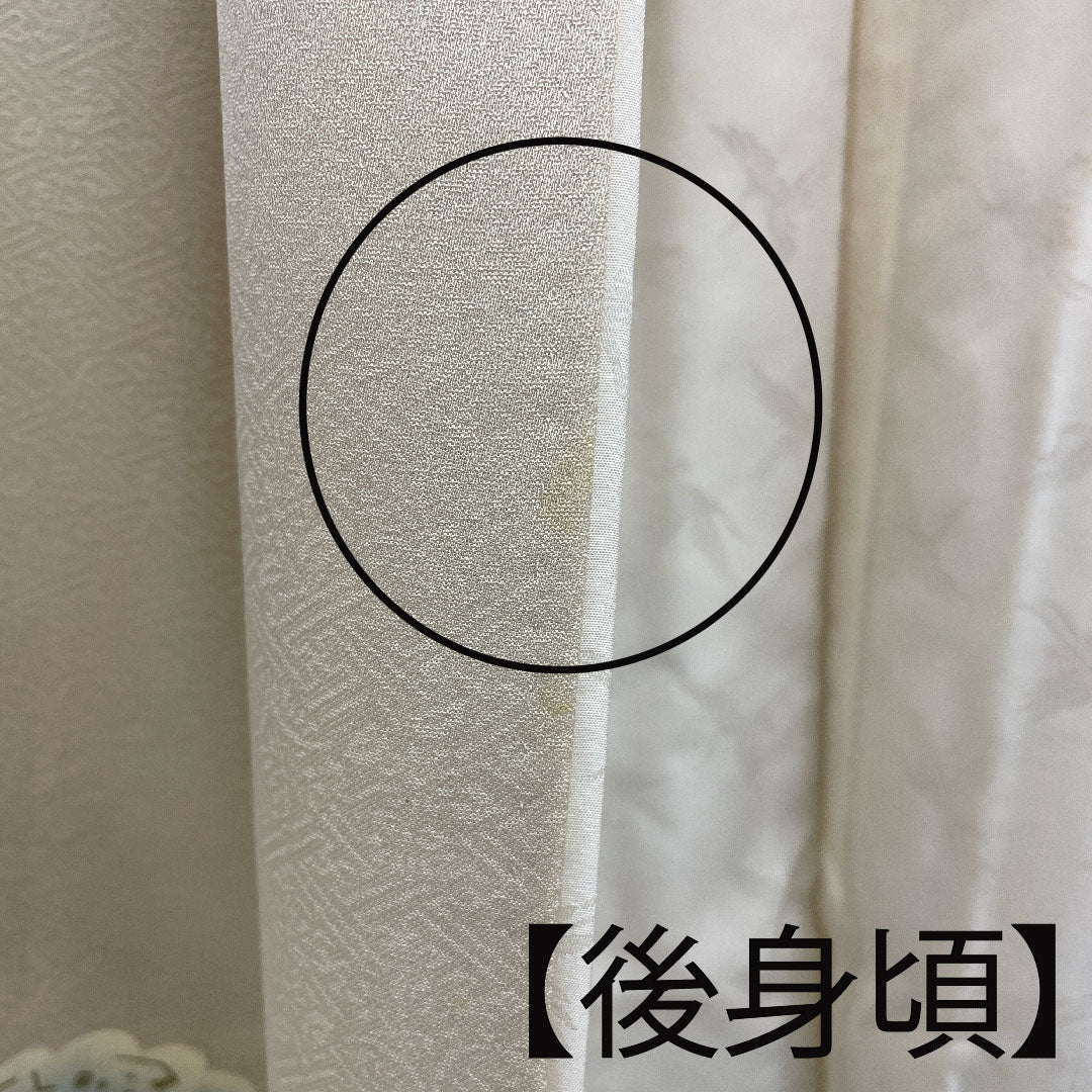 Colored Tomesode, Length 157cm, Sleeve Length 64cm, Lined, Tokyo Yuzen, Pure Silk, B Rank, Three Crests, Cream Color, 1111000284315