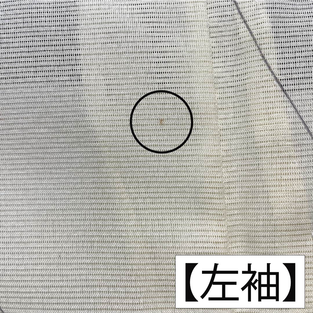 夏物 ポリエステル 小紋 Aランク 身丈163.5cm 裄丈64cm 白百合色（しらゆりいろ） 草花模様 絽 黄系 1132004513423