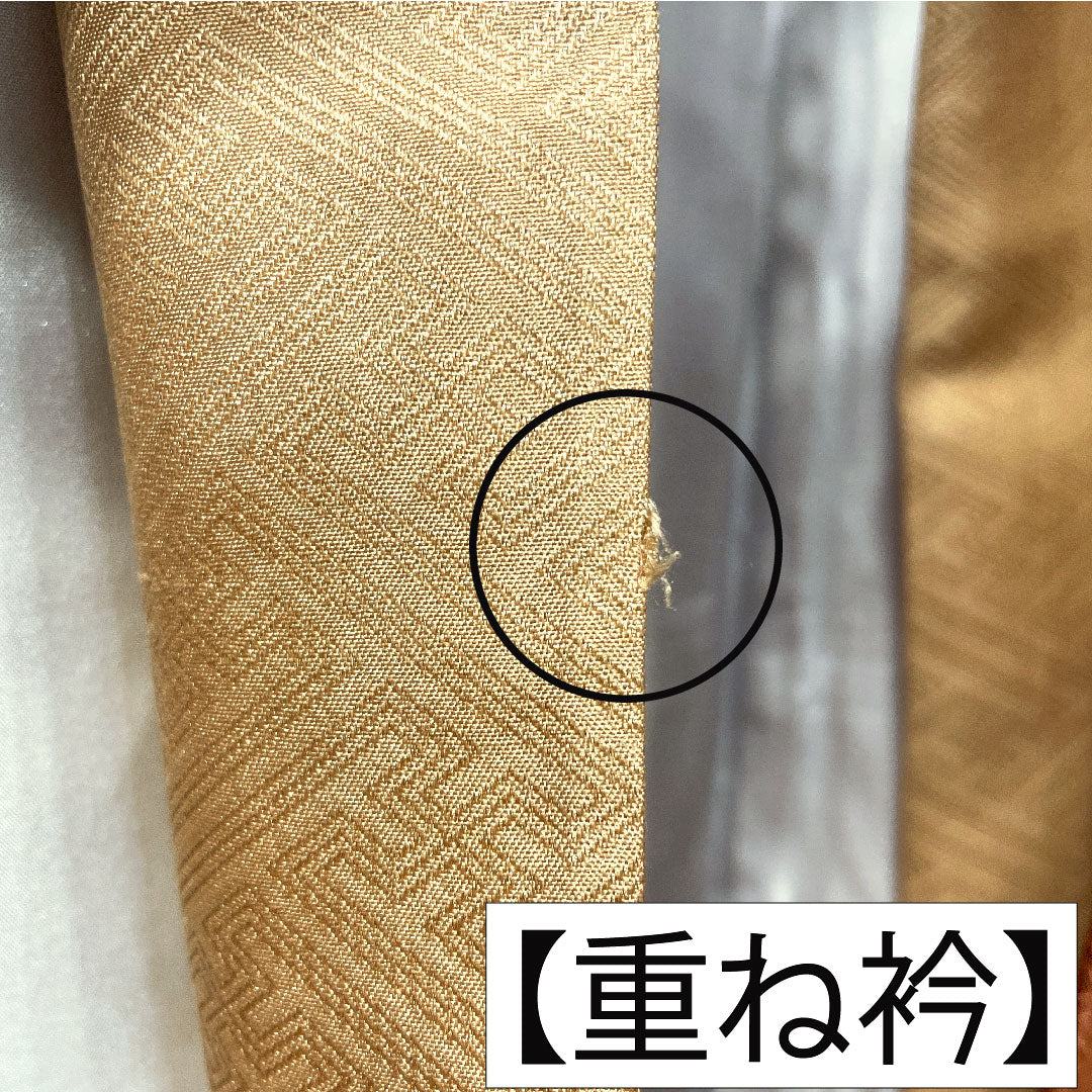 Colored Tomesode, pure silk, length 157cm, sleeve length 63cm, lined, coral color, Kyoto Yuzen, cherry blossom, pine, bamboo, plum, one crest, star and plum blossom, layered collar, A rank, orange, 1111001513326