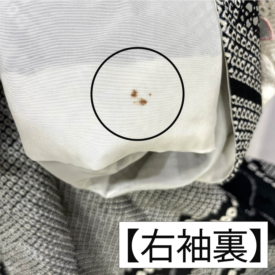訪問着 正絹 Bランク 袷 身丈161cm 裄丈64.5cm 絞り 銀駒刺繍 重ね衿付き 紗綾形 笹 草花 モノトーン 1112007344427