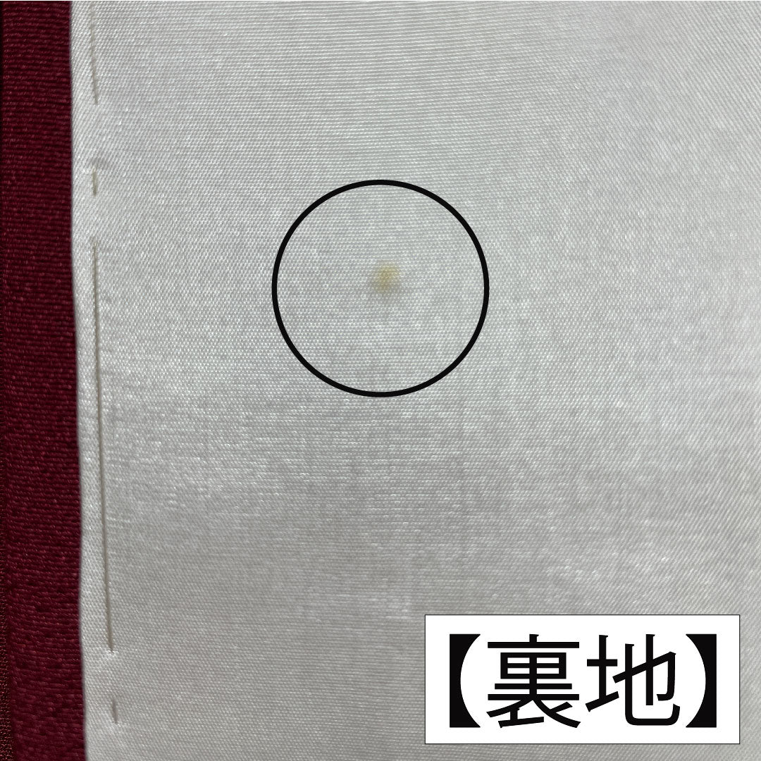 訪問着 正絹 袷 身丈163.5cm 裄丈64.5cm 臙脂色（えんじいろ） 辻ヶ花 Aランク 赤系 1112005823412