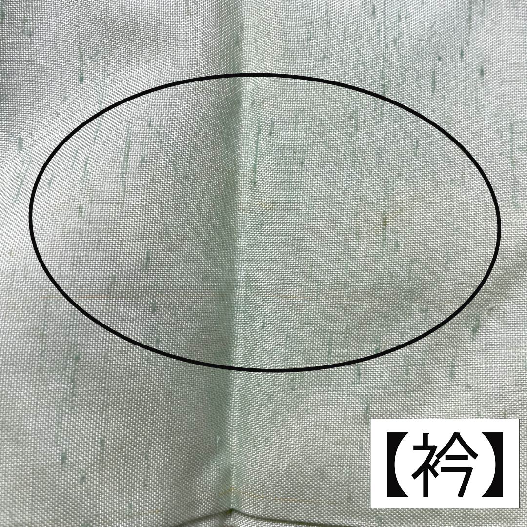 訪問着 正絹 Aランク 袷 身丈155cm 裄丈61cm 薄緑色（うすみどりいろ） 牛首紬 一つ紋 中陰蔦 草花 緑系 1112007533319