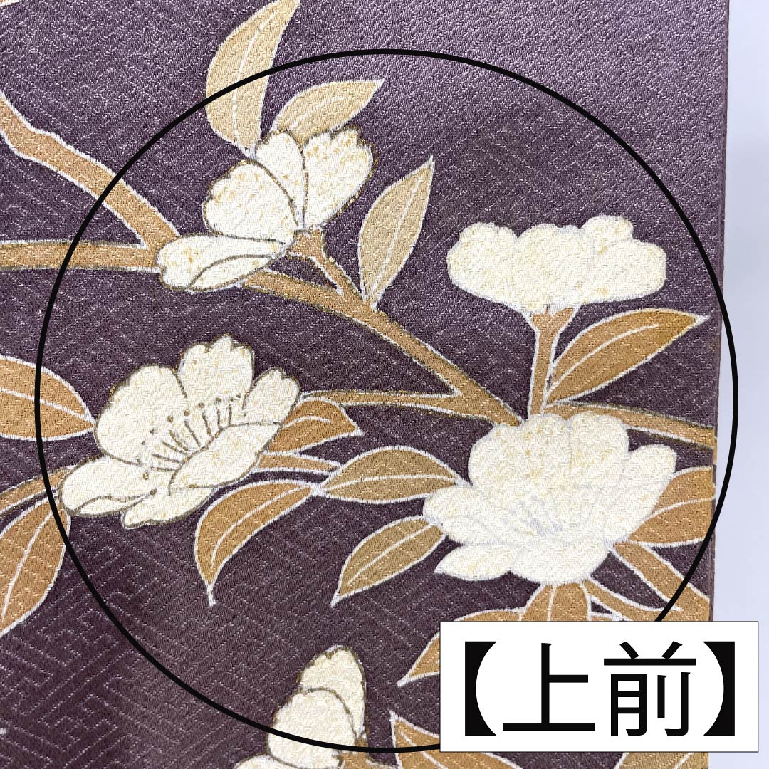 Formal kimono, pure silk, rank B, lined, length 164cm, sleeve to sleeve 64.5cm, reddish gray, Kyo-Yuzen, one crest, plants, purple tones, 1112007044420