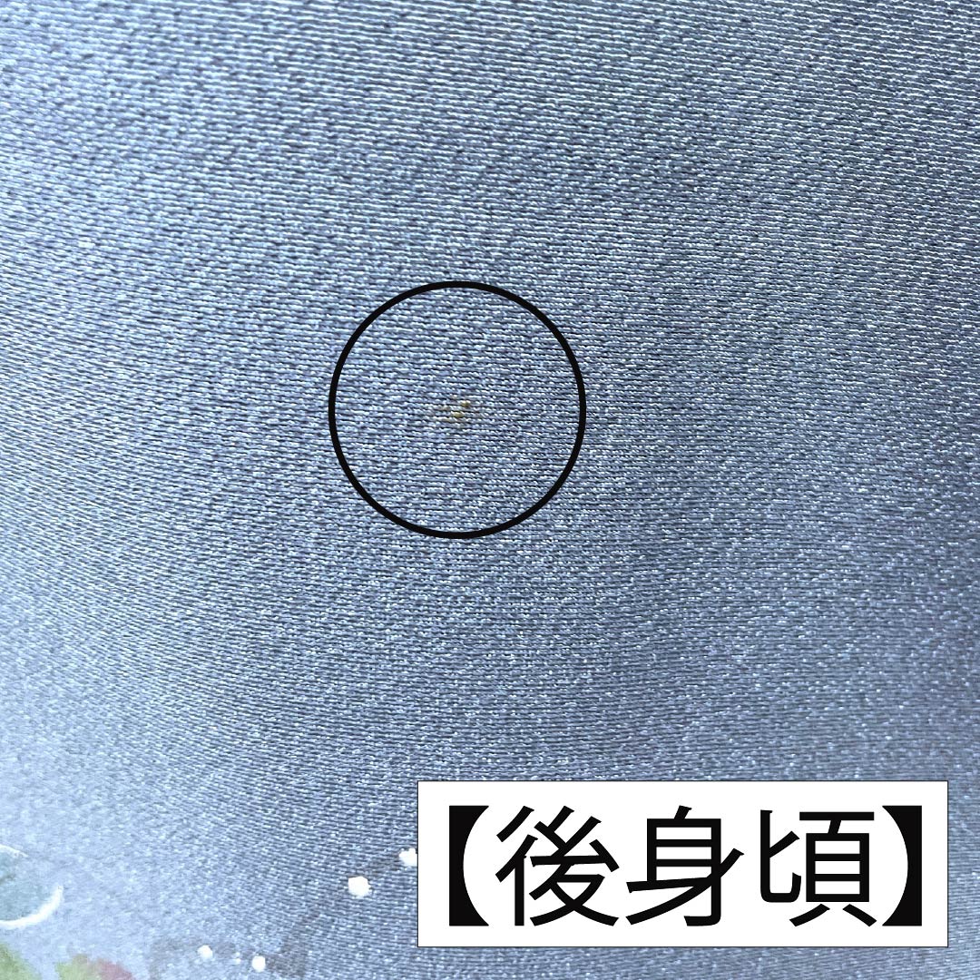 訪問着 正絹 Aランク 袷 身丈165.5cm 裄丈67cm 裏色（うらいろ） 京友禅 付下げ 草花 青系 1112006773517