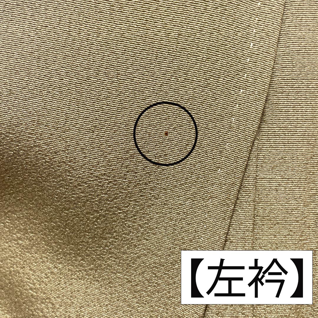 訪問着 正絹 Aランク 袷 身丈160cm 裄丈62.5cm 丁子煤竹色（ちょうじすすたけいろ） 琉球紅型 雪輪 鳳凰 風景 パールトーン加工 ベージュ系 1112007273425