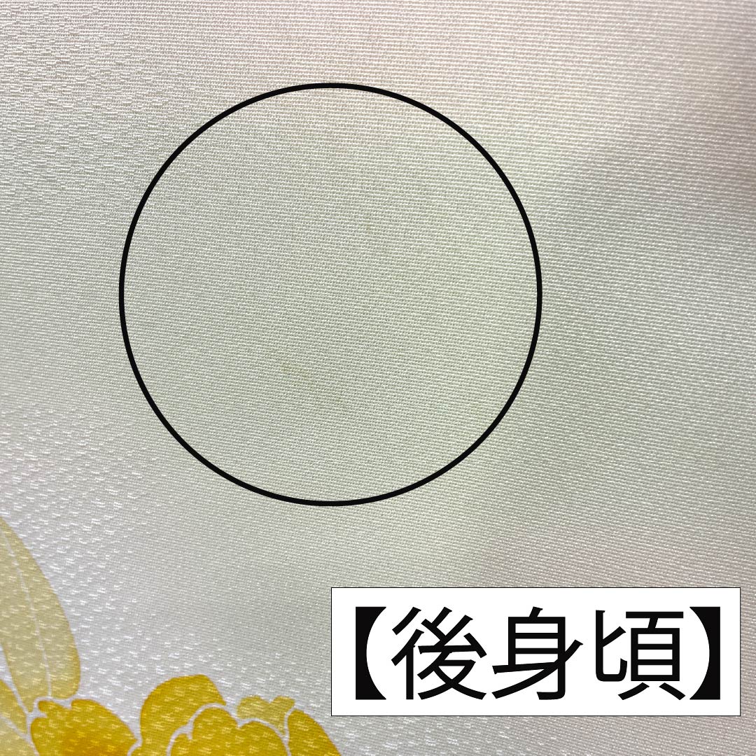 Visiting Kimono, Pure Silk, Rank B, Lined, Length 156.5cm, Sleeve Length 64cm, Kyoto Yuzen, Auspicious Pattern, Gradient, Product Number 1112006544399