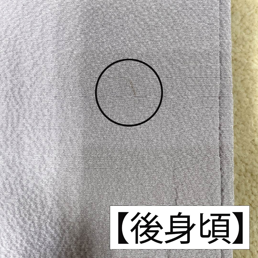 訪問着 正絹 Aランク 袷 身丈151.5cm 裄丈62cm 霞色（かすみいろ） 京友禅 辻ヶ花 紫系 1112006793220