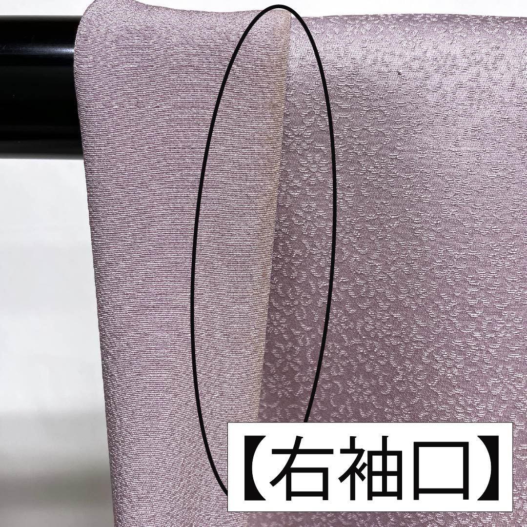訪問着 正絹 Bランク 袷 身丈165.5cm 裄丈67.5cm 淡紅藤色（うすべにふじいろ） 付下げ 草花 紫系 1112007404520