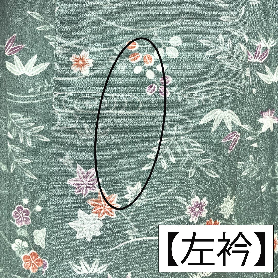 小紋 ポリエステル 身丈158.5cm 裄丈63cm 袷 山藍摺色（やまあいずりいろ） 洗える着物 草木模様 Aランク 緑系 1115005143319