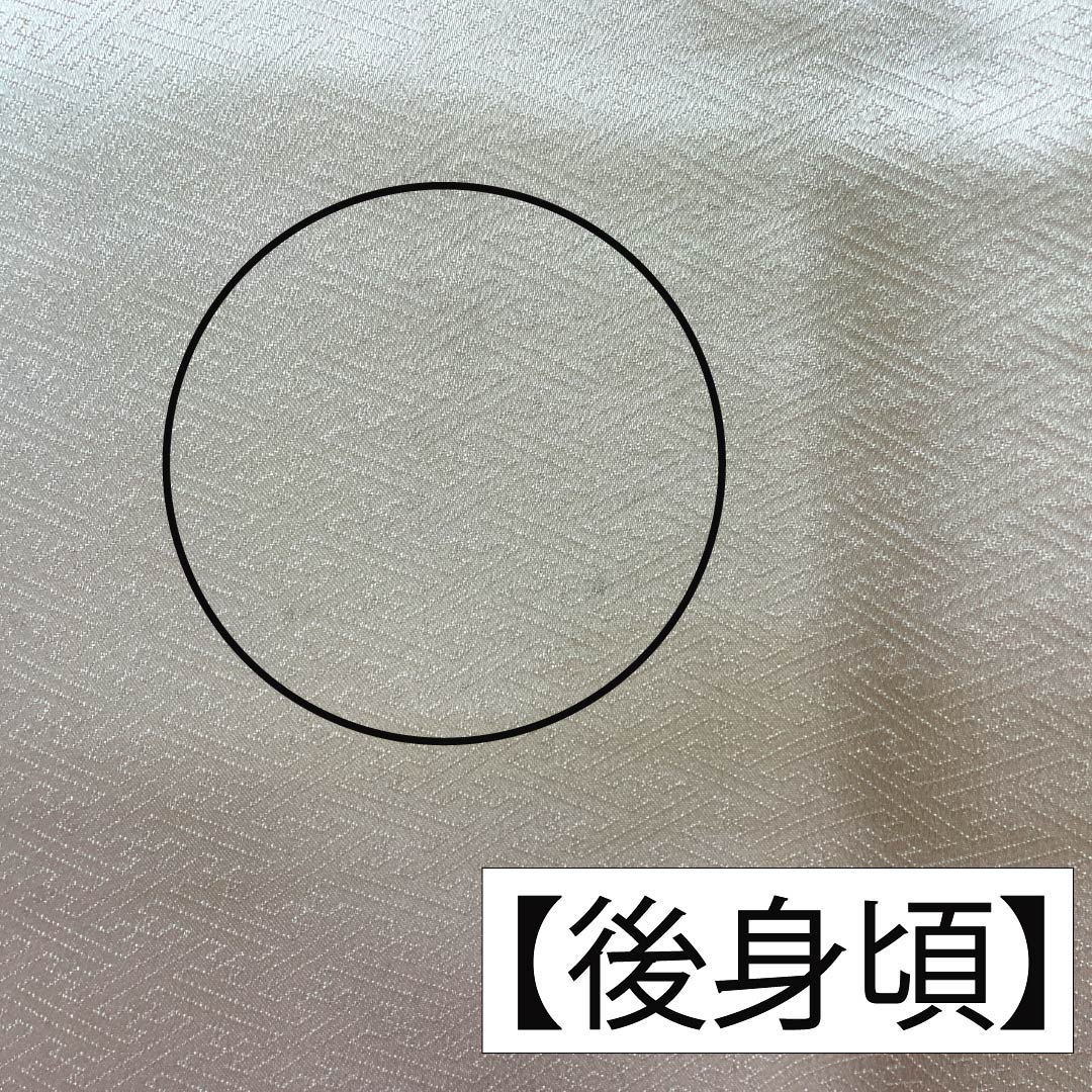Visiting Kimono, Pure Silk, B-Rank, Lined, Length 154.5cm, Sleeve Length 64cm, Off-White (Kinari-Iro), Designed by Living National Treasure Yoshishige Fukuda, Single Crest, Ueda Family Paulownia Wood Embroidery, Cream, Product Number: 1112006824215