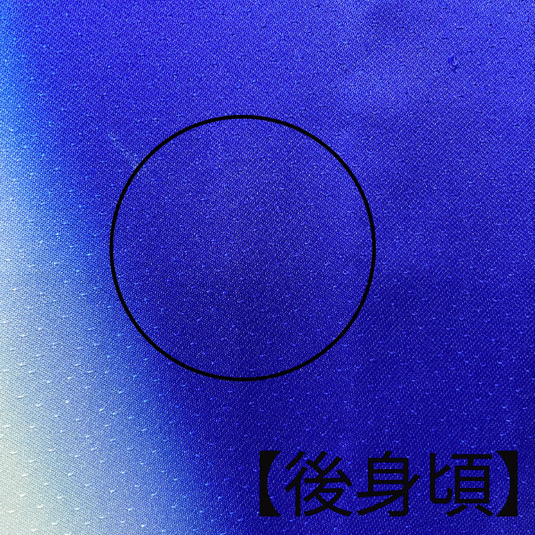 振袖 身丈176.5cm 裄丈64cm 袷  瑠璃色 花鳥模様  正絹 Bランク 紺系 1113001484818