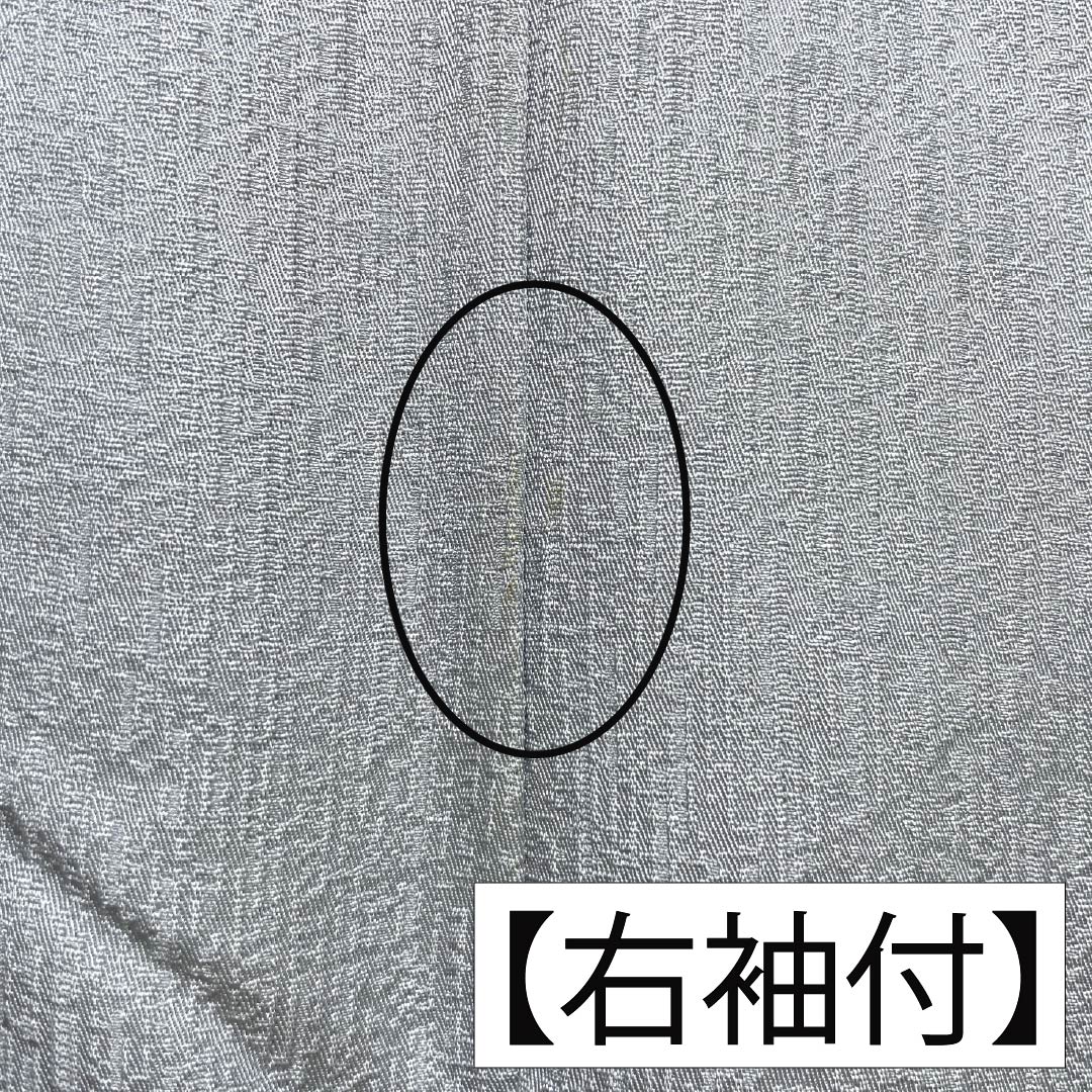 訪問着 正絹 Bランク 袷 身丈168cm 裄丈62cm 白銅色（はくどういろ） 蘇州刺繡 草花 流水 しつけ糸付き グレー系 1112007524522