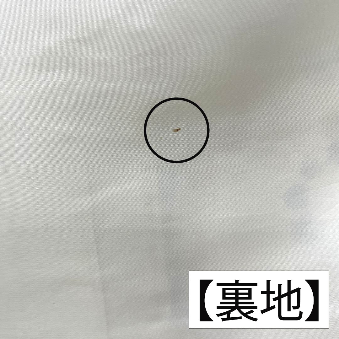 Furisode Pure Silk A Rank Length 161.5cm Sleeve-to-sleeve 65.5cm Lined Milky White Kyo Yuzen Auspicious Patterns With basting stitches White 1113002913411