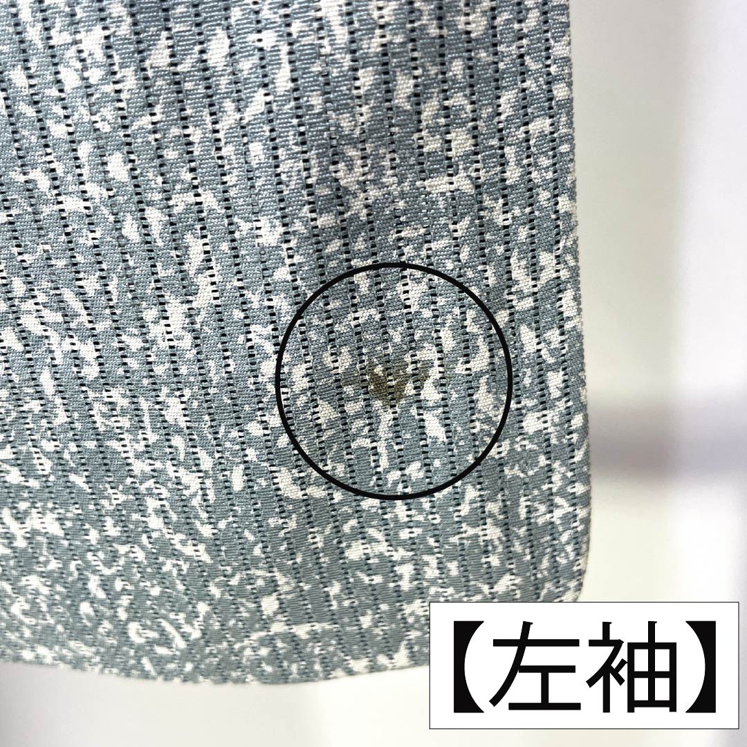 夏物 正絹 訪問着 Aランク 身丈161.5cm 裄丈66cm 浅葱鼠色（あさぎねずいろ） 竪絽 江戸小紋 タタキ染 絽 青系 1132005043417