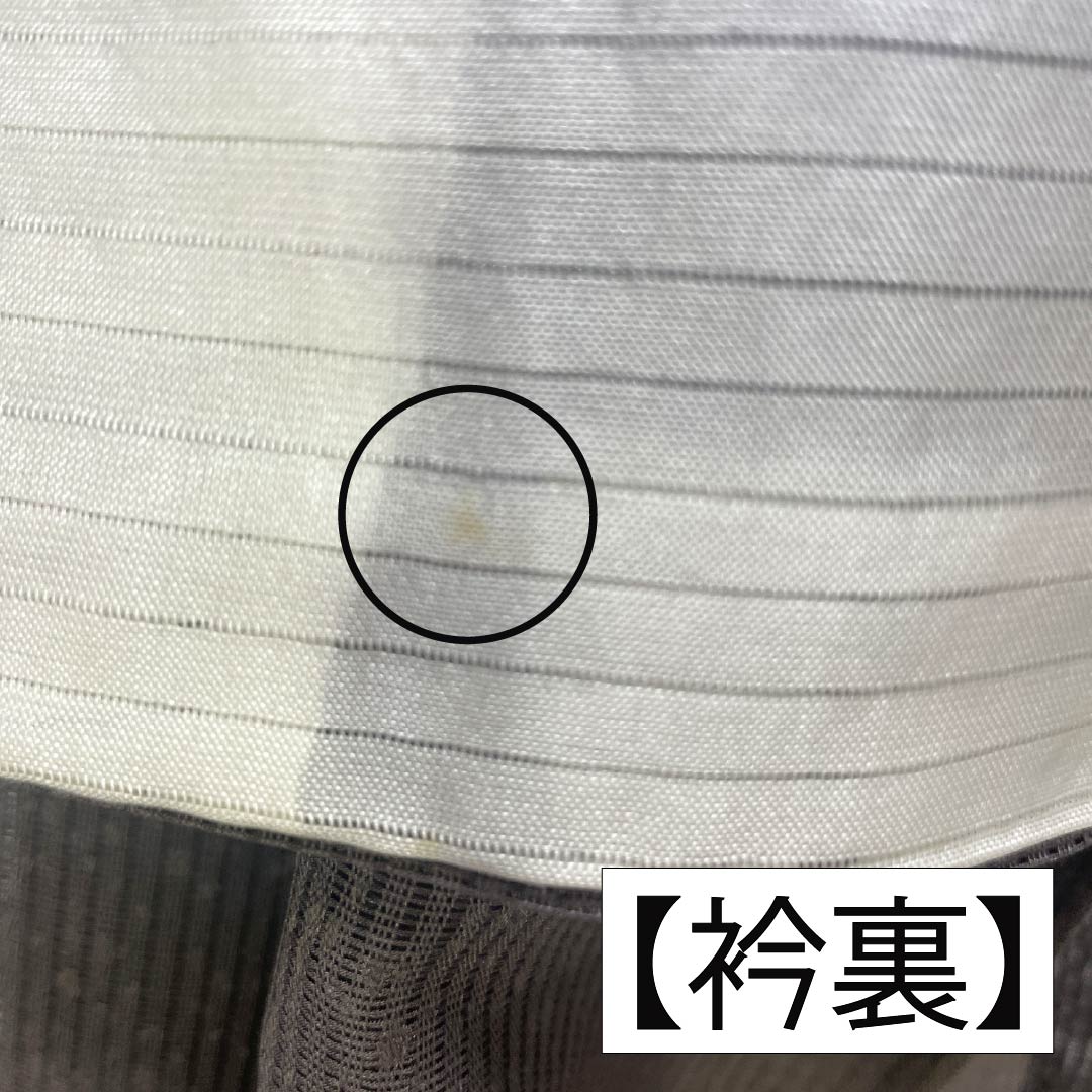 夏物 正絹 訪問着 Bランク 身丈165.5cm 裄丈65cm 都鼠色（みやこねずいろ） 京友禅 タタキ染 秋草 絽 茶系 1132005104514