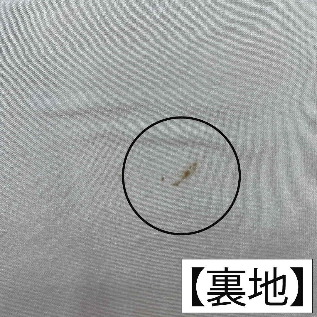 訪問着 正絹 袷 身丈165.5cm 裄丈65cm 弁柄色（べんがらいろ） 京友禅 茶屋辻風景模様 ちりめん地 Aランク 朱系 1112005923516
