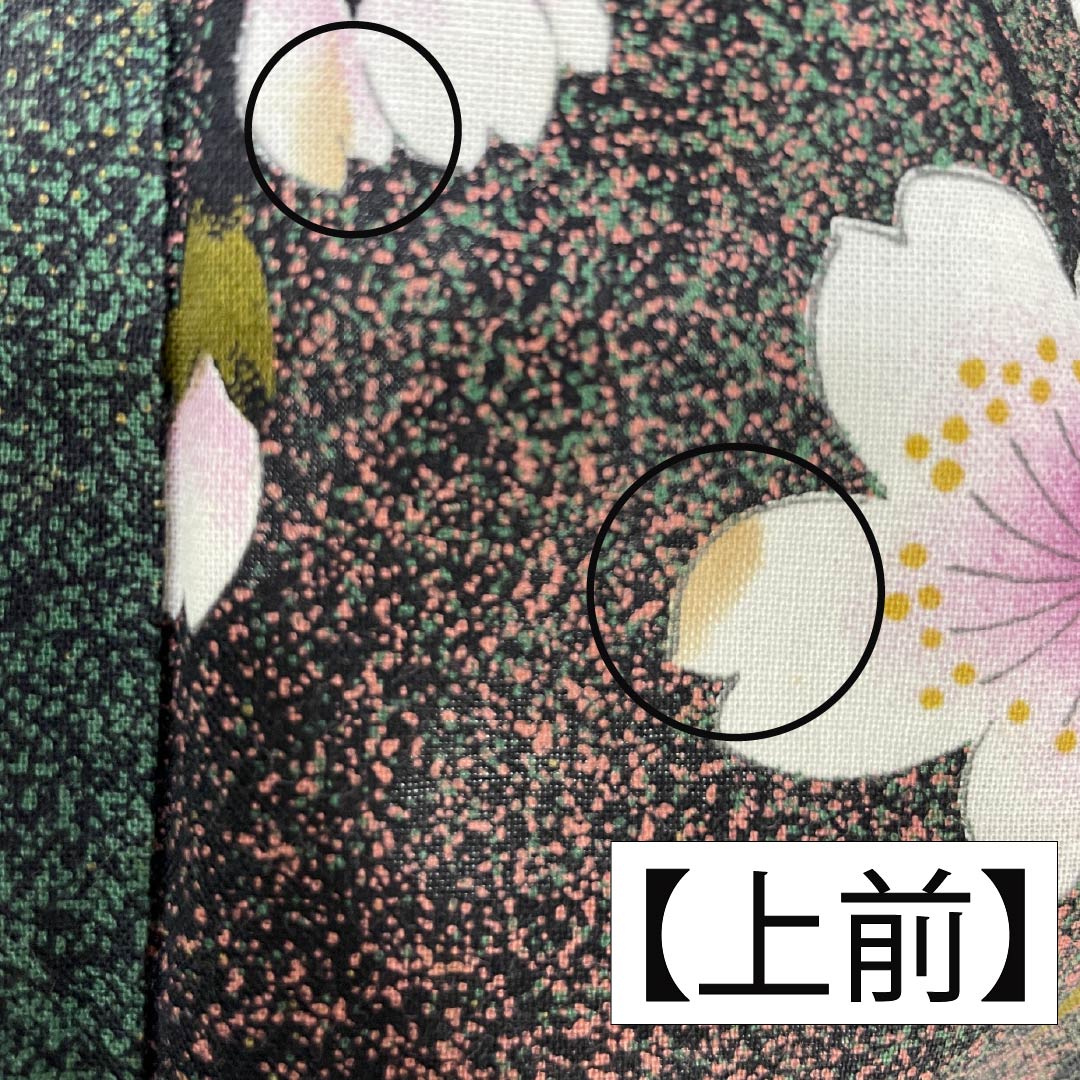 浴衣 木綿 身丈162cm 裄丈68cm Bランク 単衣 グラデーション系 萌葱色（もえぎいろ） 長春色（ちょうしゅんいろ） 桜 1118005984499