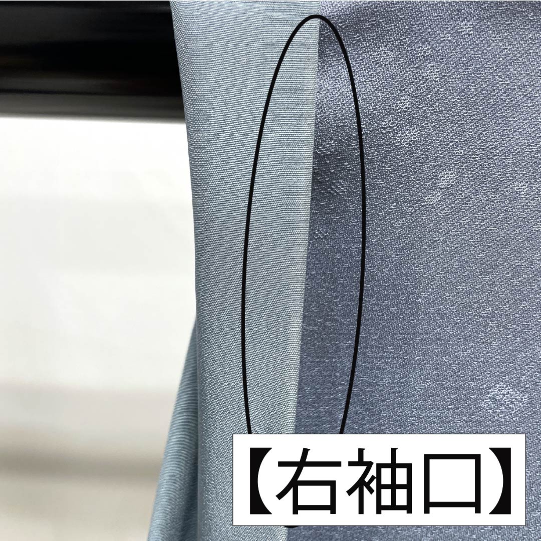 訪問着 正絹 Bランク 袷 身丈164.5cm 裄丈64cm 勿忘草色（わすれなぐさいろ） 付下げ 和田光正 金彩友禅 流水 草木 青系 1112007784417