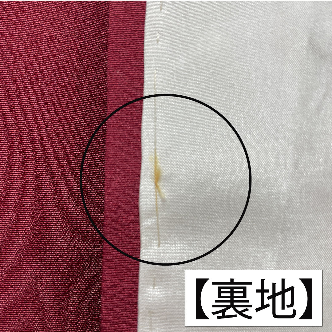 訪問着 正絹 袷 身丈163.5cm 裄丈64.5cm 臙脂色（えんじいろ） 辻ヶ花 Aランク 赤系 1112005823412