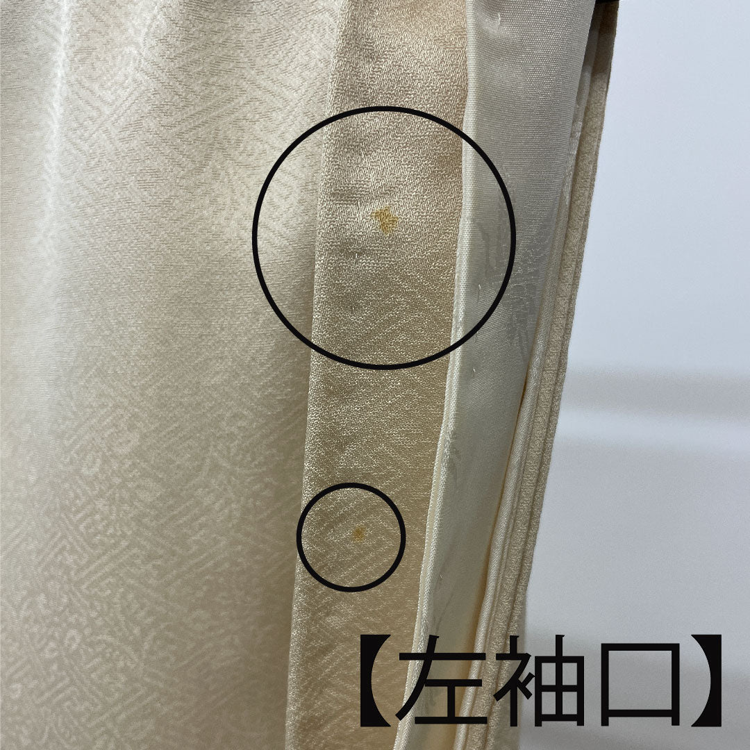 Colored Tomesode, Length 157cm, Sleeve Length 64cm, Lined, Tokyo Yuzen, Pure Silk, B Rank, Three Crests, Cream Color, 1111000284315