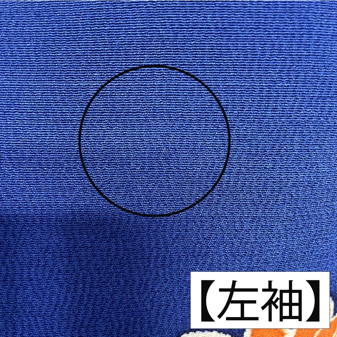 訪問着 正絹 Bランク 袷 身丈158cm 裄丈63.5cm 紺瑠璃色（こんるりいろ） 京紅型 吉祥文様 松竹梅 菖蒲 鳥 青系 1112007284317