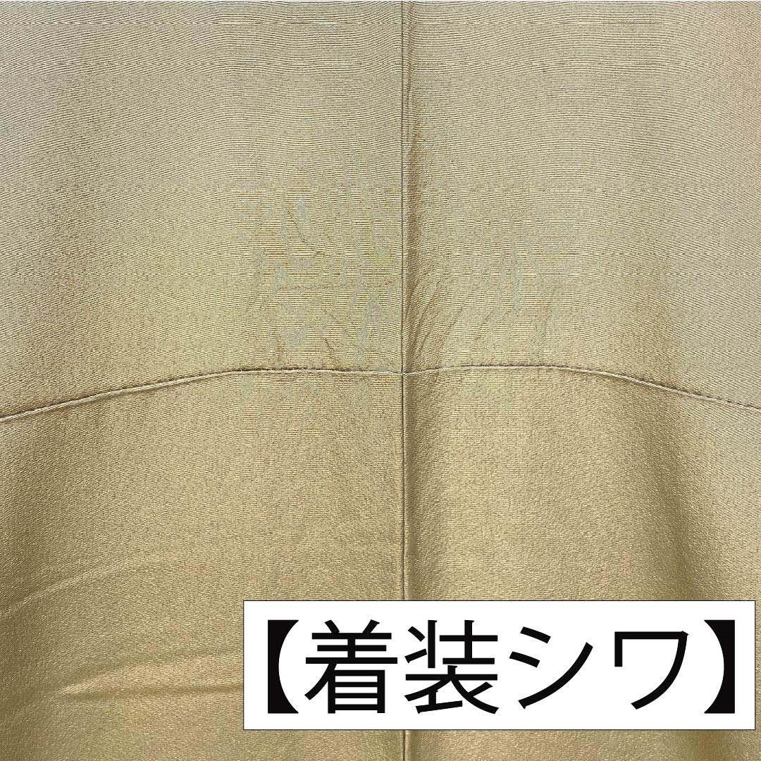 訪問着 正絹 Aランク 袷 身丈160cm 裄丈62.5cm 丁子煤竹色（ちょうじすすたけいろ） 琉球紅型 雪輪 鳳凰 風景 パールトーン加工 ベージュ系 1112007273425
