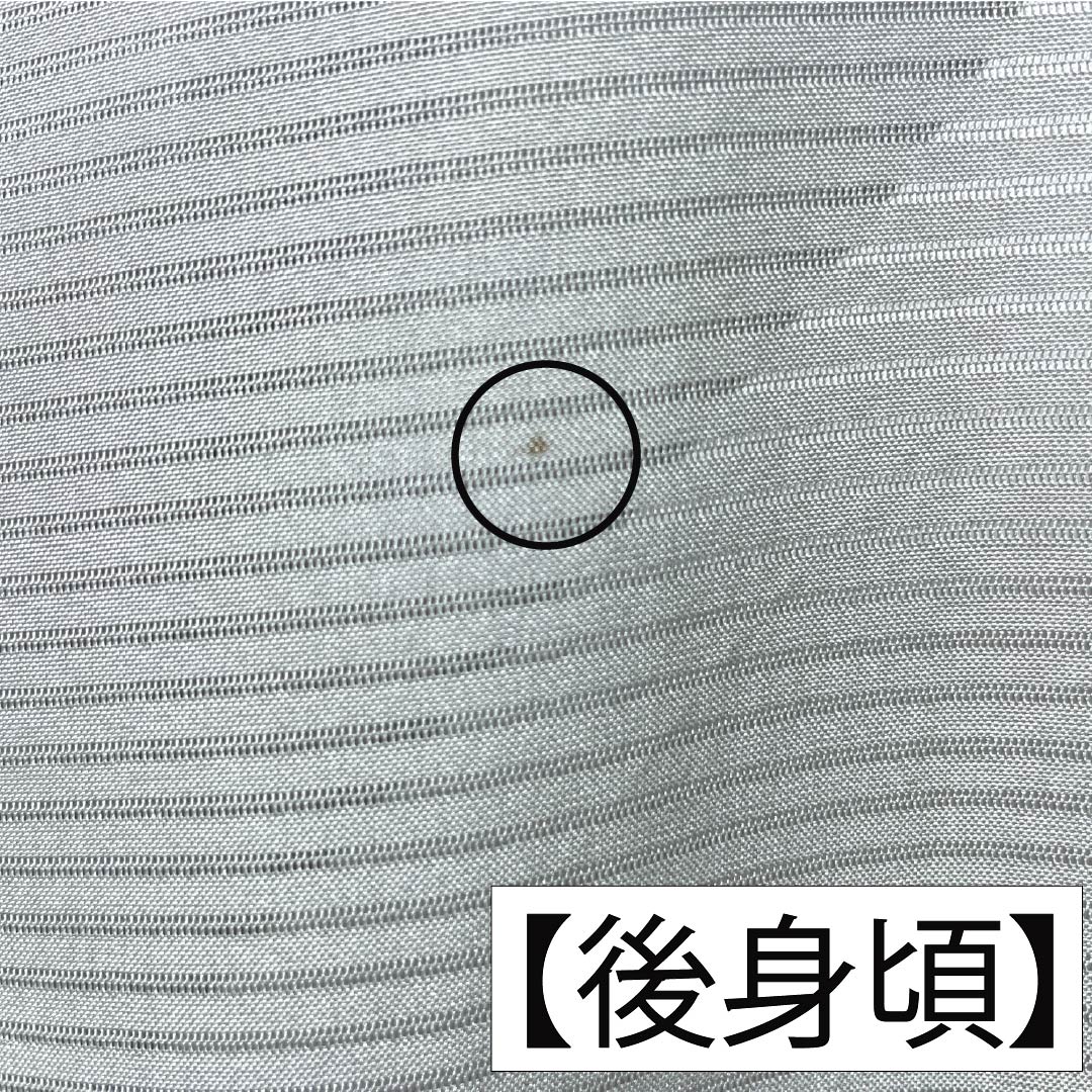 夏物 正絹 付下げ Aランク 身丈154cm 裄丈63.5cm 京友禅 寿光織 霞 草花 絽 グレー系 1132005023222