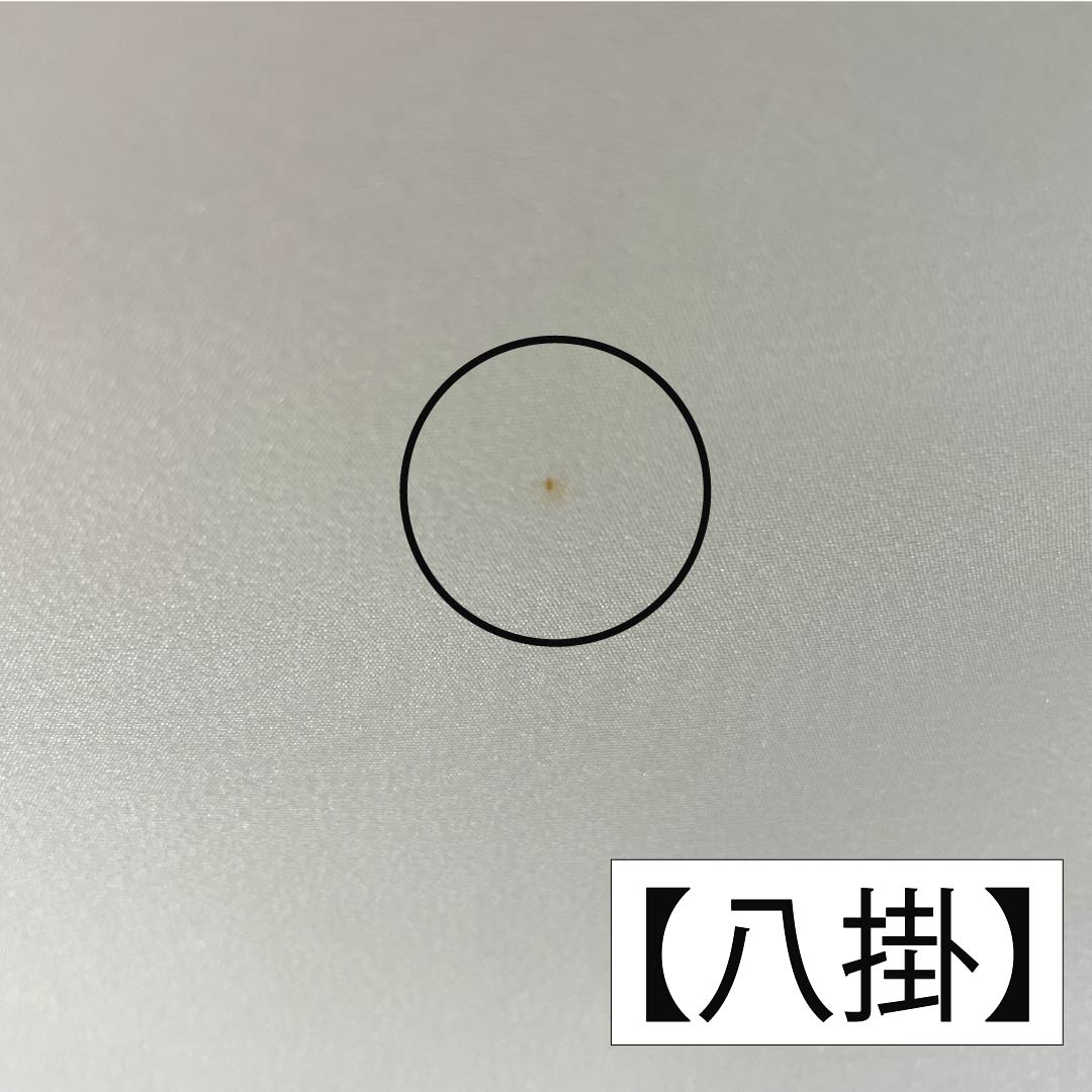 訪問着 正絹 Aランク 袷 身丈157.5cm 裄丈62cm 乳白色（にゅうはくしょく） 京友禅 雲取り しつけ糸付き 白系 1112006563311