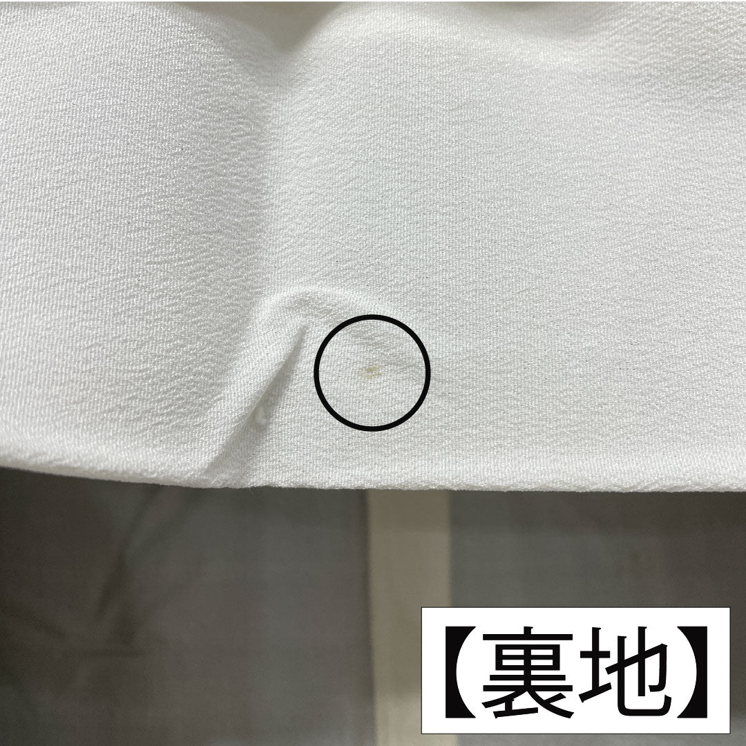 黒留袖 正絹 身丈164.5cm 裄丈63cm 袷 京友禅 波 檜扇 梅 五つ紋 五三桐 Aランク 黒系 1111001523410