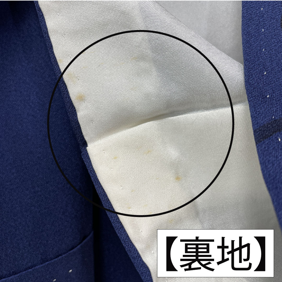 Homongi, pure silk, lined, length 159cm, sleeve length 65cm, dark blue, butterfly, rose, A rank, navy blue, 1112005883318