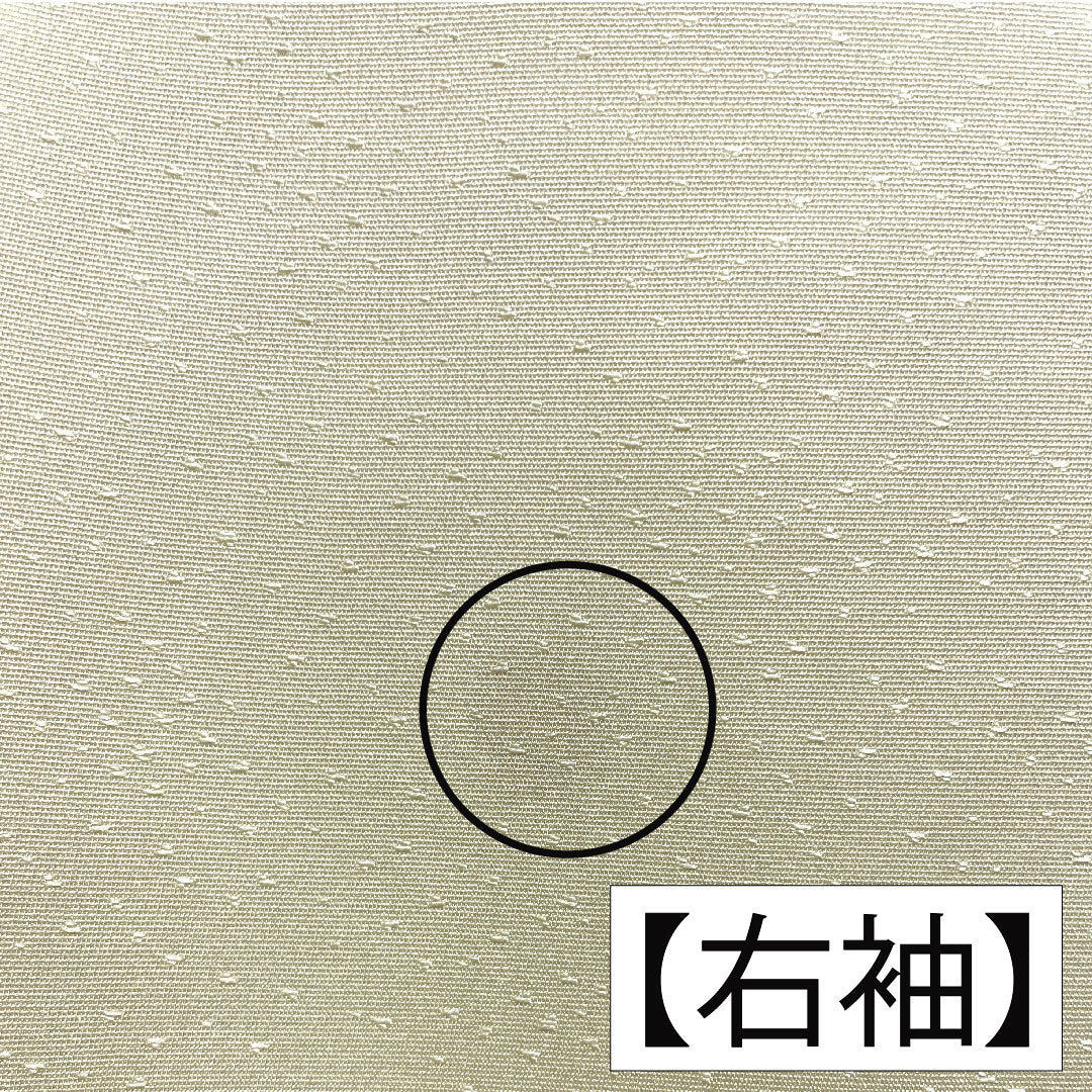 訪問着 正絹 袷 身丈156.5cm 裄丈63cm 淡黄色（たんこうしょく） 京友禅 草花模様 Aランク 黄系 1112005393323