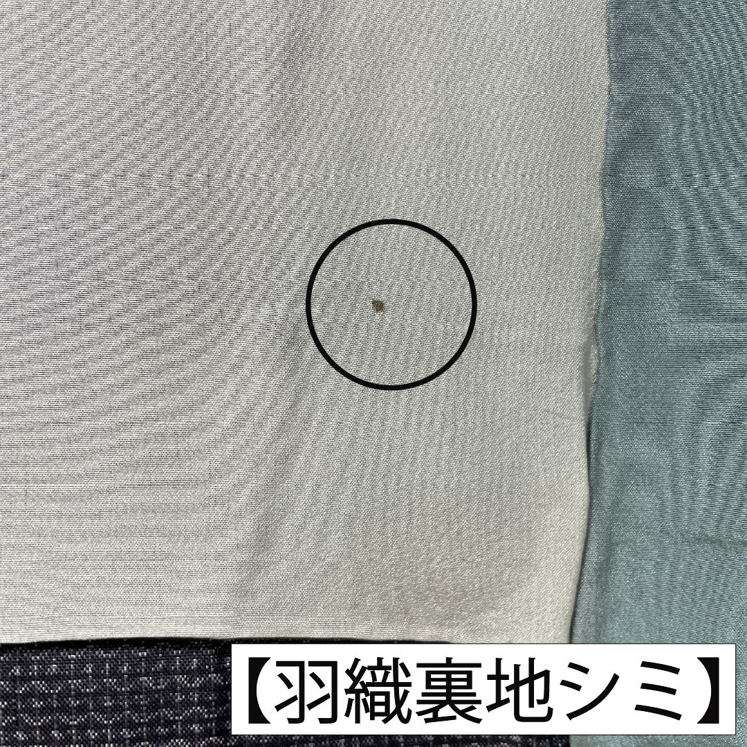 男物 正絹 Aランク 身丈139cm 裄丈67.5cm 大島紬 100亀甲 しつけ糸付き 袷 グレー系 1119001793322