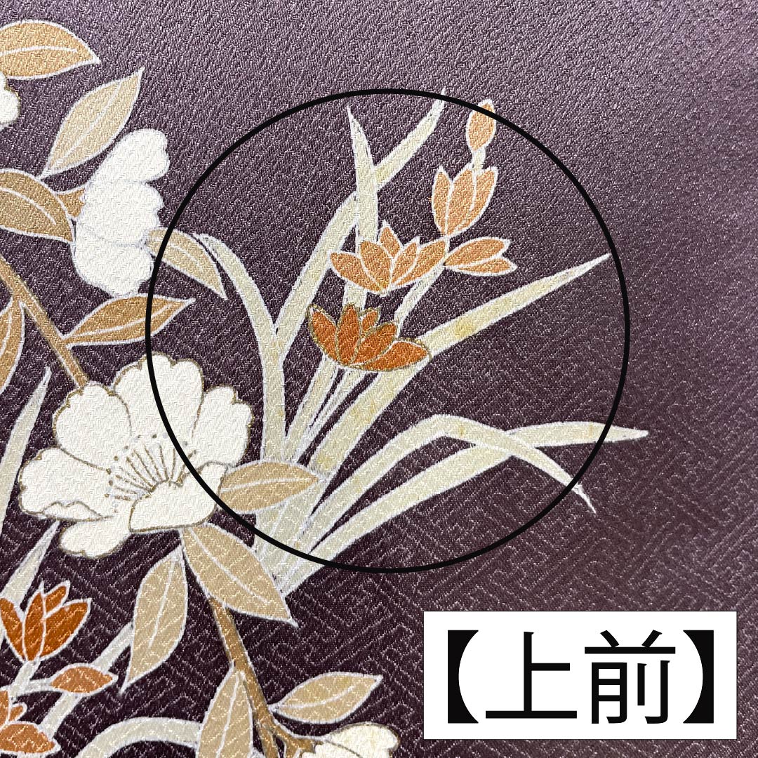 Formal kimono, pure silk, rank B, lined, length 164cm, sleeve to sleeve 64.5cm, reddish gray, Kyo-Yuzen, one crest, plants, purple tones, 1112007044420