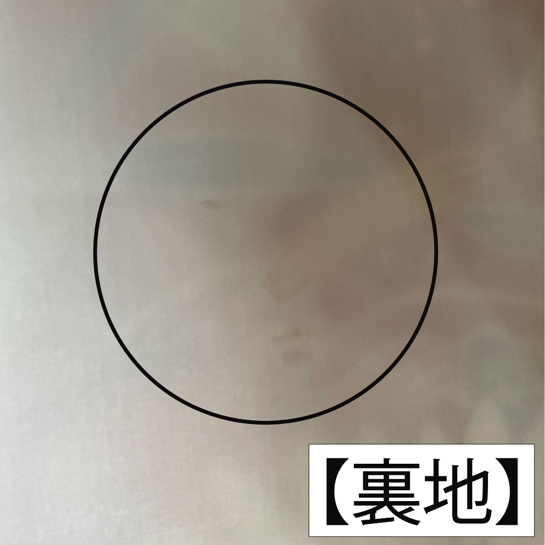 振袖 正絹 身丈160cm 裄丈62.5cm 袷 土耳古赤色（とるこあかいろ） 金通し 露芝 草花模様 Aランク 赤系 1113002043412