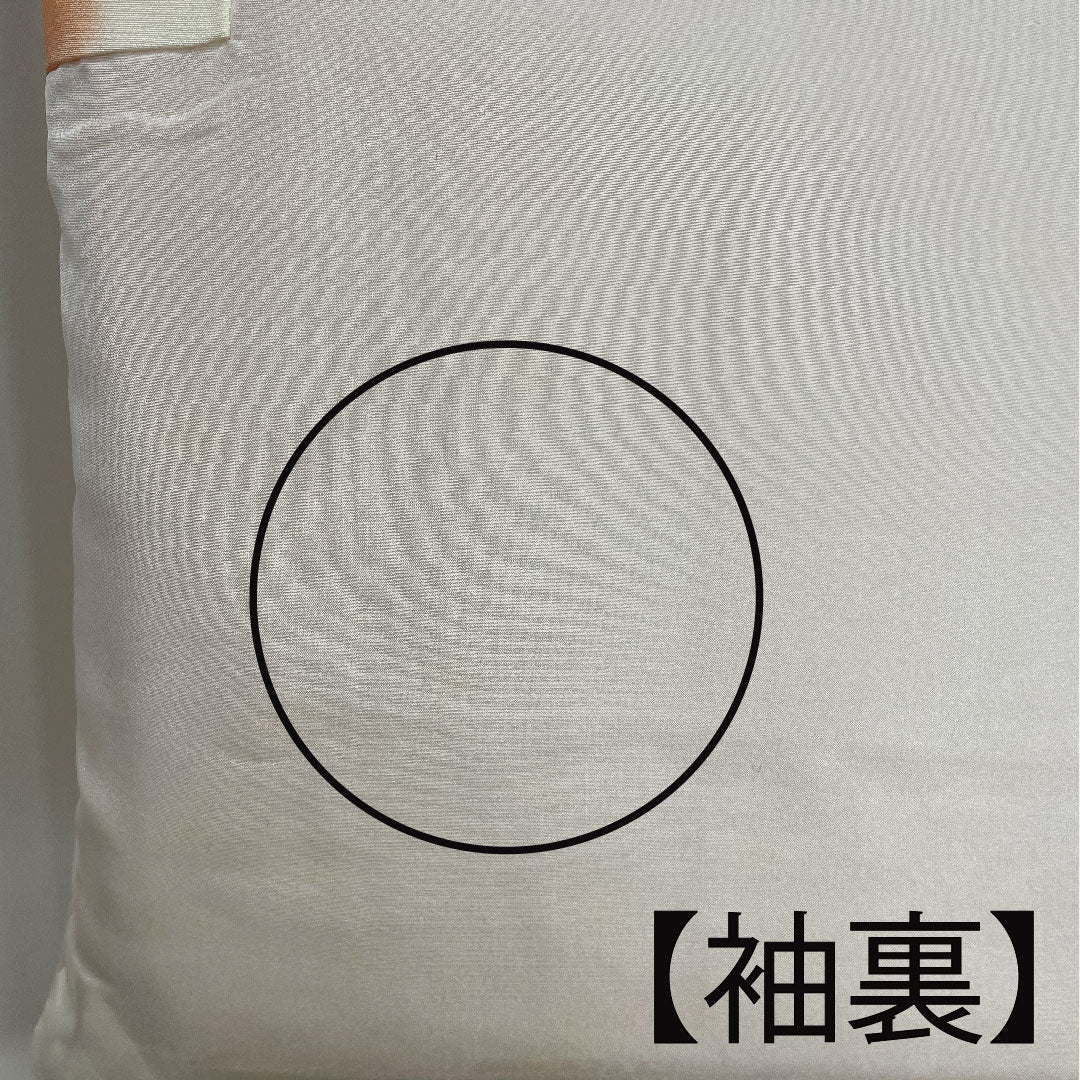 小紋 身丈148cm 裄丈60cm 袷  江戸小紋 流水 鮫 人参色  正絹 Cランク 朱系 1115002145116