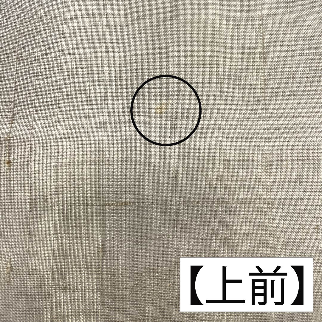 訪問着 正絹 Bランク 袷 身丈160cm 裄丈68cm 亜麻色（あまいろ） 生紬 桶絞り 乾山絞り 伝統工芸作家 吉澤与市 ベージュ系 1112007414425