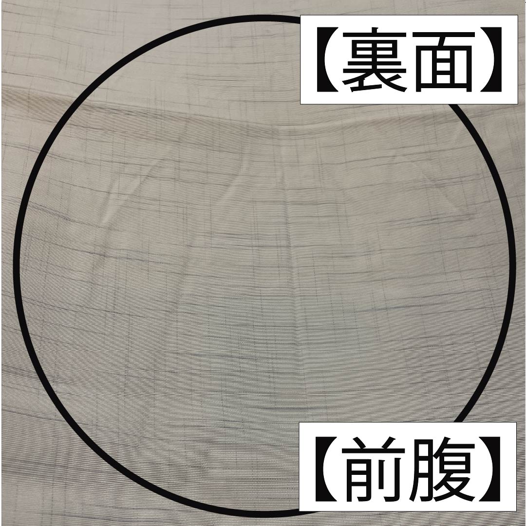 Fukuro Obi, pure silk, off-white, fish and flowers, obi length 442cm, S rank, six-pass, casual, cream-colored, 1123012522315
