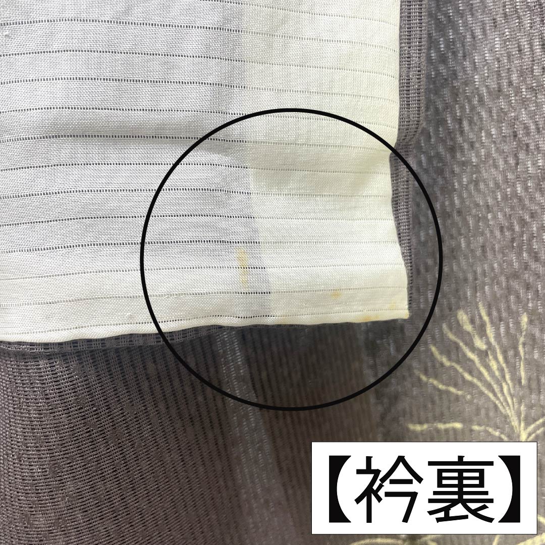 夏物 正絹 訪問着 Bランク 身丈165.5cm 裄丈65cm 都鼠色（みやこねずいろ） 京友禅 タタキ染 秋草 絽 茶系 1132005104514